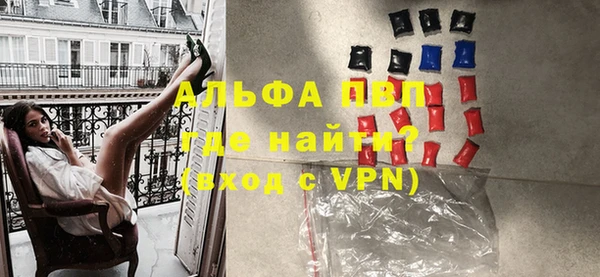 ПСИЛОЦИБИНОВЫЕ ГРИБЫ Инсар