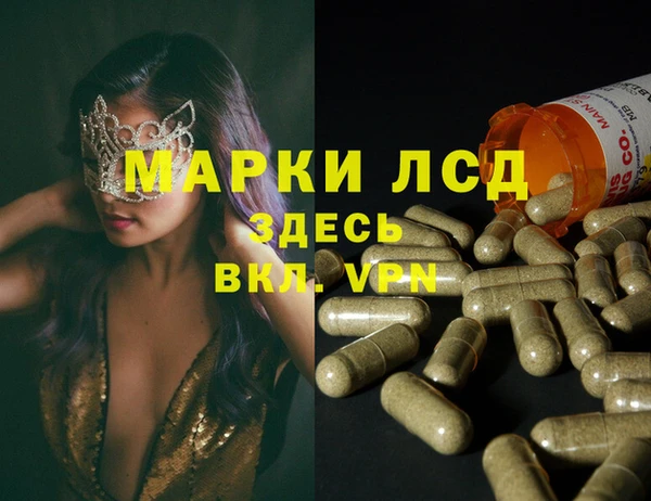 индика Заводоуковск