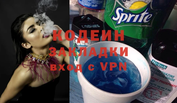 прущие грибы Инта