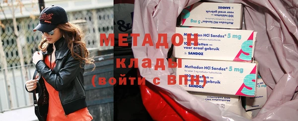 прущие грибы Инта