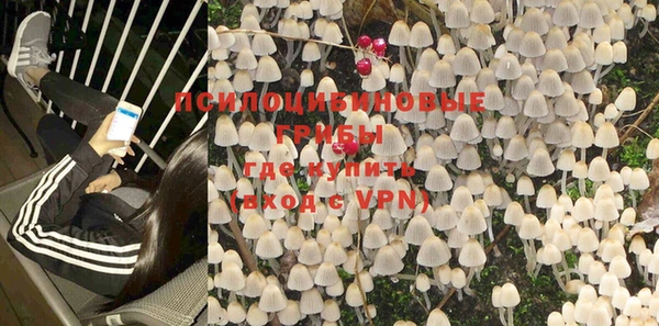 индика Заводоуковск